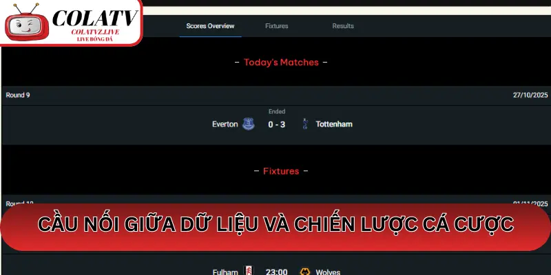 777MMM – Cầu nối giữa dữ liệu và chiến lược cá cược