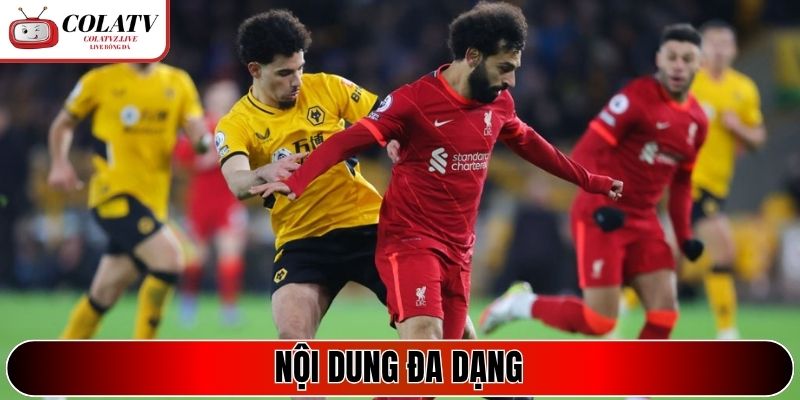 Nội dung đa dạng